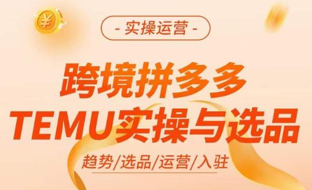 跨境拼多多TEMU实操与选品，​掌握平台运营方法技巧-爱学资源网