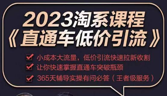 直通车低价引流玩法课程 2023淘系课程-爱学资源网