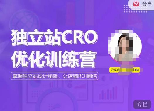 独立站CRO优化训练营 掌握独立站设计秘籍让店铺ROI翻倍-爱学资源网