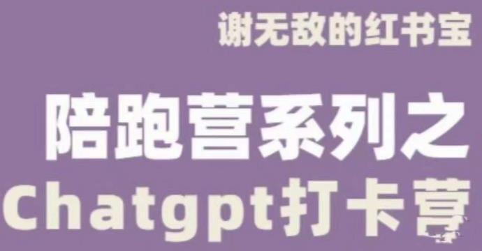 谢无敌ChatGPT打卡营 教你更好地使用ChatGPT来提高工作效率-爱学资源网