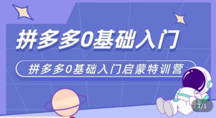 六一电商·拼多多运营0-1实操特训营-爱学资源网