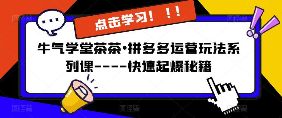 牛气学堂茶茶•拼多多运营玩法系列课 快速起爆秘籍-爱学资源网