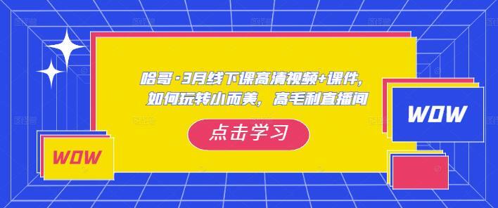 哈哥·3月直播间线下实操课 高清视频+课件-爱学资源网