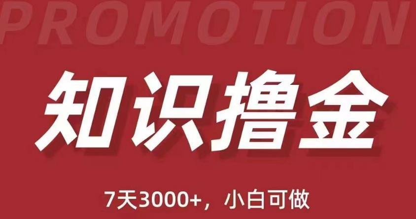 抖音知识撸金项目 简单粗暴日入1000+执行力强当天见收益-爱学资源网