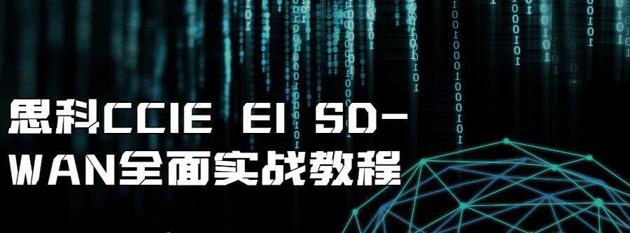 思科CCIE EI SD-WAN全面实战教程-爱学资源网