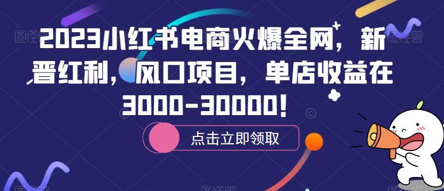 2023小红书电商火爆全网 新晋红利风口项目-爱学资源网