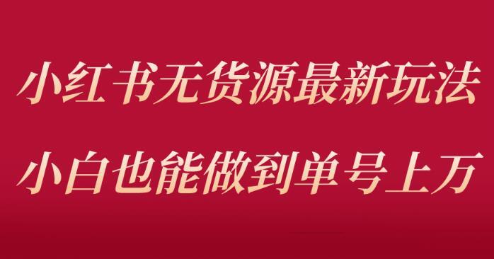 小红书无货源最新螺旋起号玩法 电商小白也能做到单号上万-爱学资源网