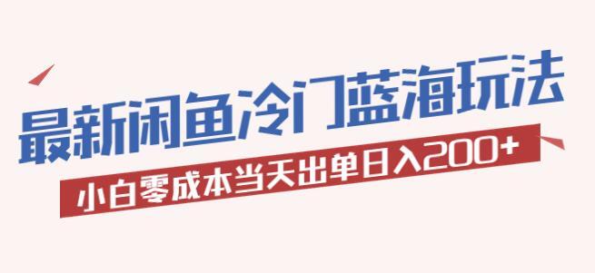 2023最新闲鱼冷门蓝海玩法 小白零成本当天出单日入200+-爱学资源网