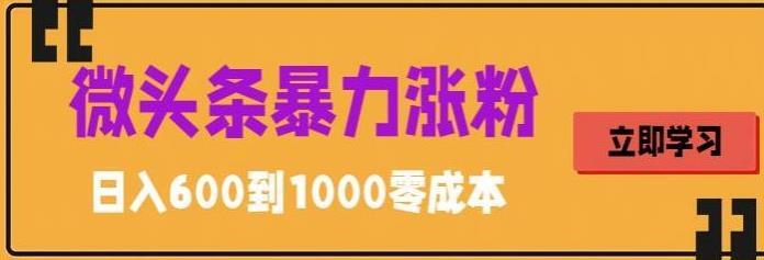 微头条暴力涨粉技巧 搬运文案就能涨几万粉丝-爱学资源网