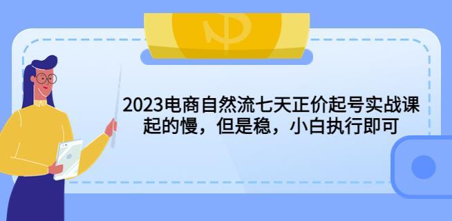 2023电商自然流七天正价起号实战课 起的慢但是稳小白执行即可-爱学资源网