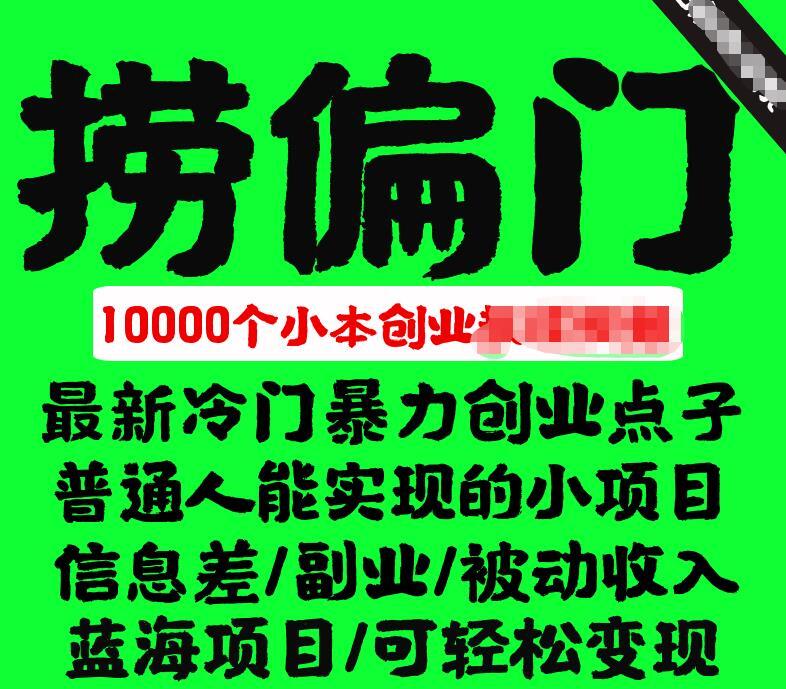 千款捞偏门小本创业小项目 总有一款适合你-爱学资源网