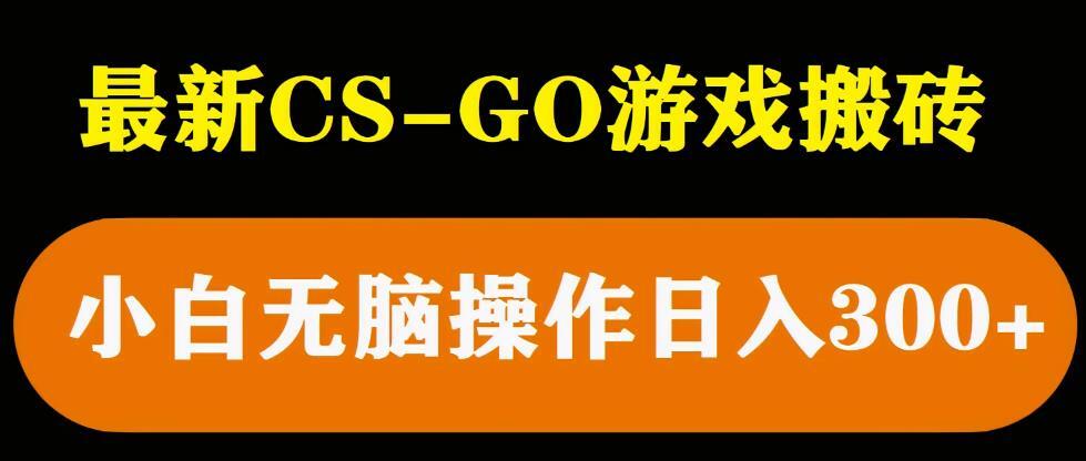 最新csgo游戏搬砖游戏 无需挂机小白无脑也能日入300+-爱学资源网