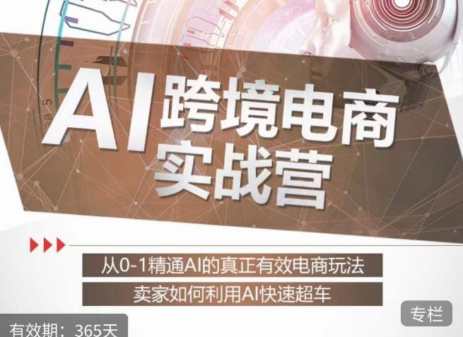 白龙老师·AI跨境电商实战营-爱学资源网