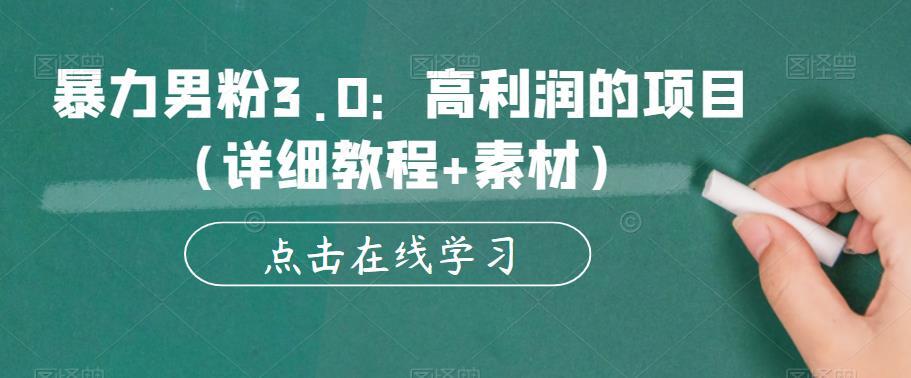 暴力男粉3.0 高利润的项目-爱学资源网