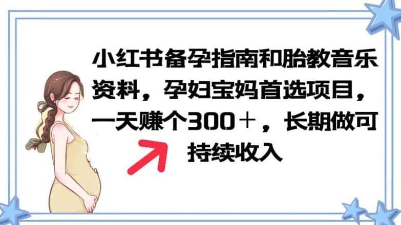 小红书备孕指南和胎教音乐资料 孕妇宝妈首选项目-爱学资源网