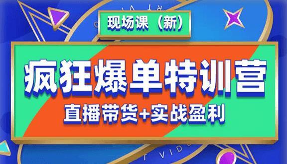 抖音短视频疯狂爆单特训营现场课 直播带货+实战案例-爱学资源网