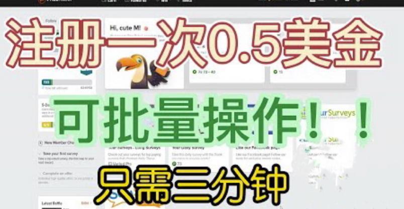 国外项目注册一次0.5美金 只需三分钟无脑操作-爱学资源网