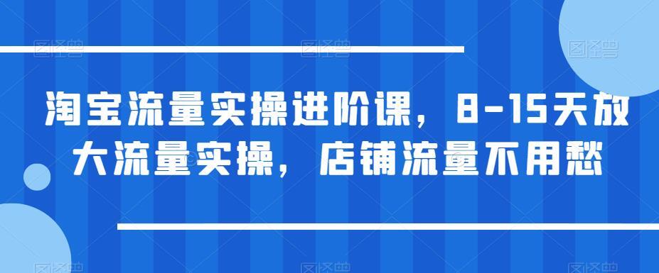 淘宝流量实操进阶课 店铺流量不用愁-爱学资源网