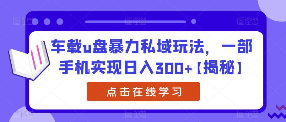 车载u盘暴力私域玩法 一部手机实现日入300+-爱学资源网