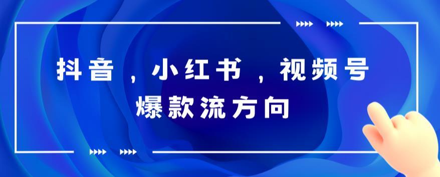 抖音小红书视频号爆款流视频制作 简单制作掌握流量密码-爱学资源网