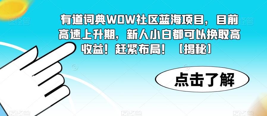 有道词典WOW社区蓝海项目 新人小白都可以换取高收益-爱学资源网