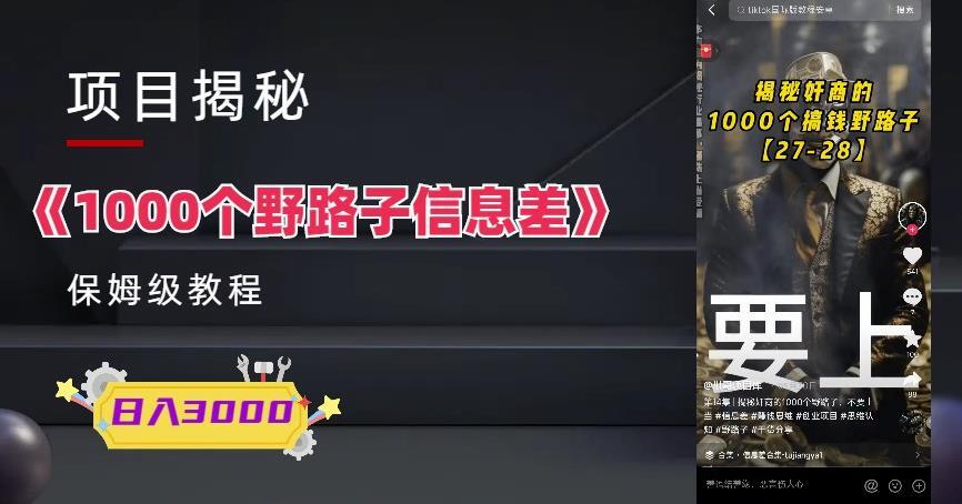 1000个野路子信息差保姆式教程 单日变现3000+的玩法解密-爱学资源网