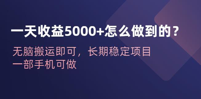 一天收益5000+怎么做到 无脑搬运即可-爱学资源网