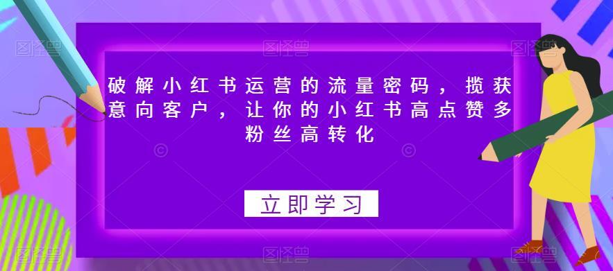 破解小红书运营的流量密码 让你的小红书高点赞多粉丝高转化-爱学资源网