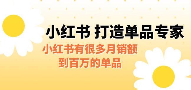 小红书打造单品专家 某公众号付费文章-爱学资源网