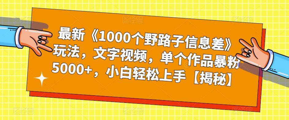 最新1000个野路子信息差玩法 单个作品暴粉5000+-爱学资源网